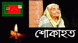  ভাষা সৈনিক রওশন আরা বাচ্চু'র ইন্তেকাল : বাংলাদেশ ন্যাপ'র শোক
