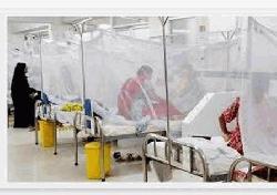 ডেঙ্গুতে ৪ জনের মৃত্যু, হাসপাতালে ৩১৯