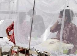 ডেঙ্গুতে প্রাণ গেলো আরও ৩ জনের