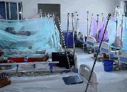 একদিনেই ডেঙ্গুতে প্রাণ গেল ৬ জনের