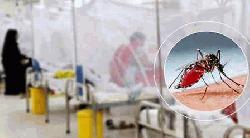 ডেঙ্গু কেড়ে নিল আরও ৪ প্রাণ