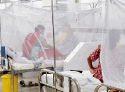 ডেঙ্গুতে একদিনে ৮ মৃত্যু