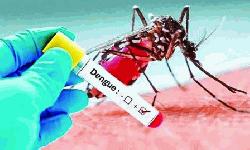 ডেঙ্গুতে প্রাণ গেল আরও ২ জনের