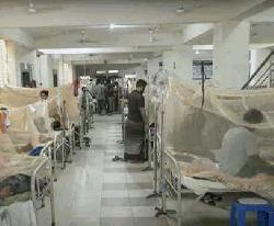 ডেঙ্গুতে প্রাণ গেল আরও ৪ জনের