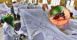 ডেঙ্গুতে আরও ৩ জনের মৃত্যু, শনাক্ত ৯২৮