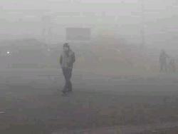 নওগাঁয় তাপমাত্রা ৯ ডিগ্রির ঘরে