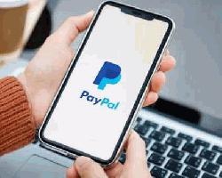 বাংলাদেশে আসতে চায় পেপ্যাল, তবে...
