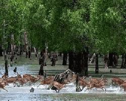 সাতক্ষীরা জেলাকে ‘এ’ ক্যাটাগরিতে উন্নীত করে প্রজ্ঞাপন