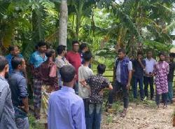 ‘ম্যাগনেটিক পিলারে’ কোটিপতি হওয়ার স্বপ্ন, অতঃপর...