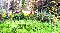 চাঁপাইনবাবগঞ্জ সীমান্তে ২৮ জনকে পুশ-ইন করল বিএসএফ