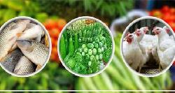 ডিম, সবজি ও ব্রয়লারের সঙ্গে মাছের বাজারেও গুনতে হচ্ছে বাড়তি দাম
