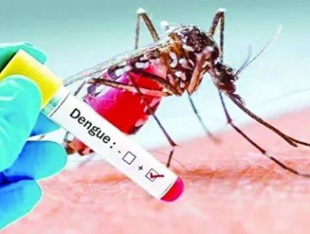 ডেঙ্গুতে এবার একদিনে ৫ জনের প্রাণহানি