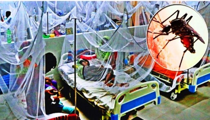 ডেঙ্গুতে আরও ২ জনের মৃত্যু, হাসপাতালে ভর্তি ৯৯৬ জন