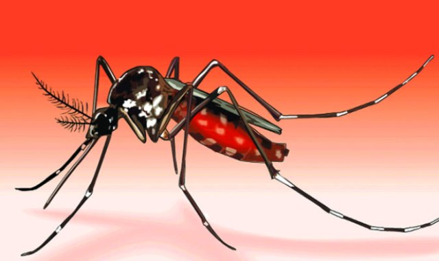 ডেঙ্গুতে আরও ৬ জনের মৃত্যু